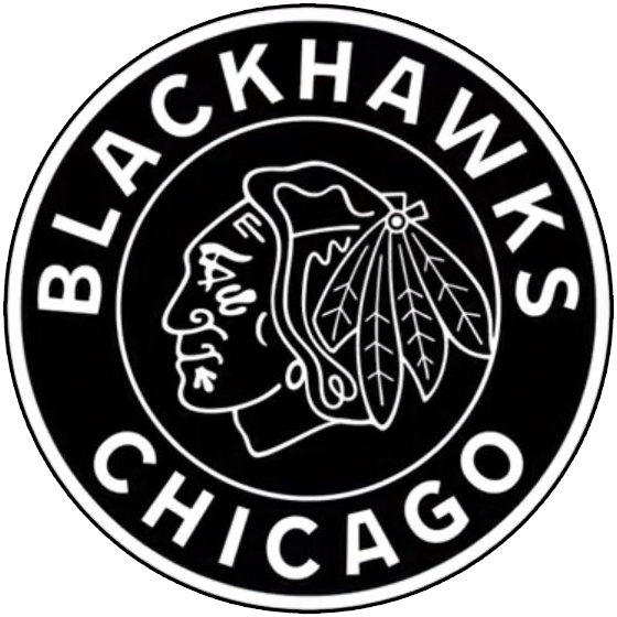 Chicago Blackhawks 2019 Special Event Logo iron on transfers for fabric